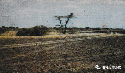 老照片 七十年代的非洲肯亞 非洲第一個野生動物園