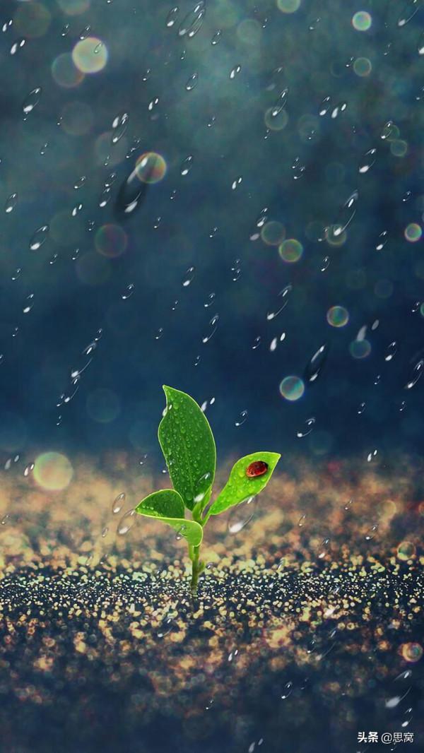 思窩：從長尾理論到80/20法則，代表了事物發展的不同時期