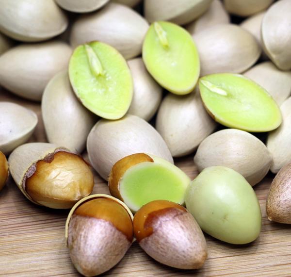 “美麗有毒”的植物,快來認識11種“毒花毒果”,不吃虧不上當 “美麗有毒”的植物,快來認識11種“毒花毒果”,不吃虧不上當