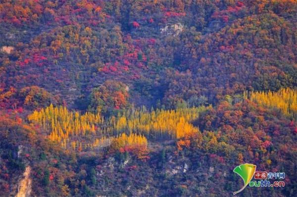 深秋太行美如畫