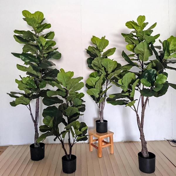 秋天快扦插，10種花不用買，掰個枝子插土裡，嗖嗖生根，成活率高