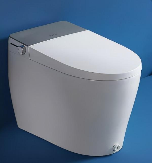 只買貴的,不買對的?智慧馬桶到底是不是智商稅? 只買貴的,不買對的?智慧馬桶到底是不是智商稅?