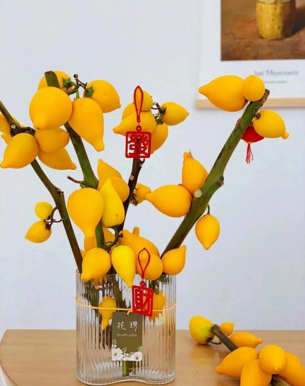 每週一花---中秋和春節必備 每週一花---中秋和春節必備