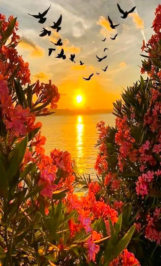 分享：美景如畫，驚豔絕倫，仙境一般的自然環境，如此優美迷人