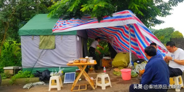 為什麼養蜂老齡化越來越嚴重「①意蜂農篇」