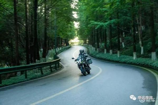 優選級休旅車，大運PTG300X動態測評