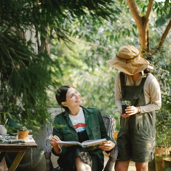 健康 | 擔心“冬天的第一杯奶茶”長胖？不如喝點茶