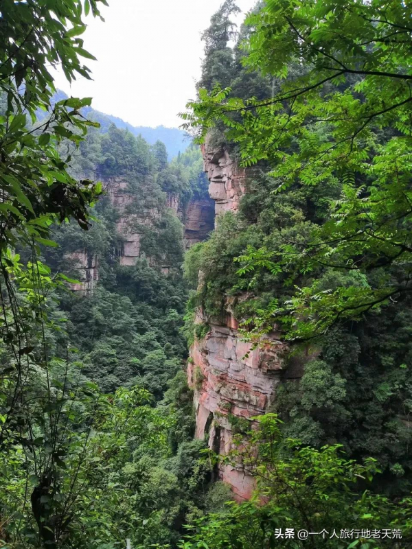 苦等5年終通高鐵！這座比成都還巴適的酒城，為了吃也要去一趟