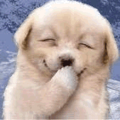 脆弱的敏感肌,應該怎麼呵護肌膚? 脆弱的敏感肌,應該怎麼呵護肌膚?