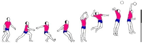 氣排球技術入門全解