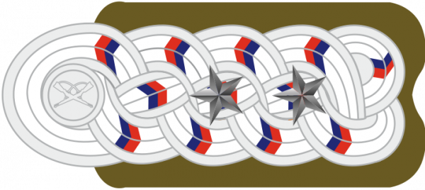 智利警銜標識 智利警銜標識