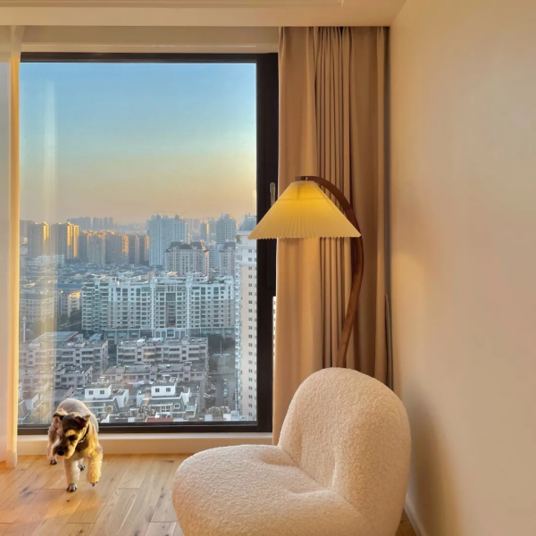 年前犒勞自己，這份半折清單拿走不謝