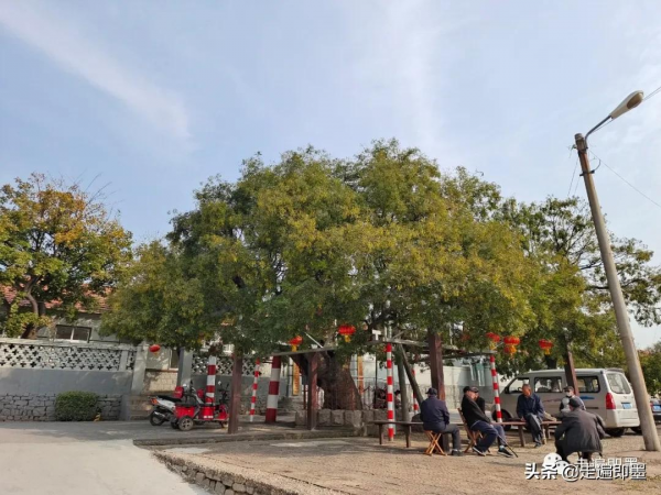 走遍即墨——大留村