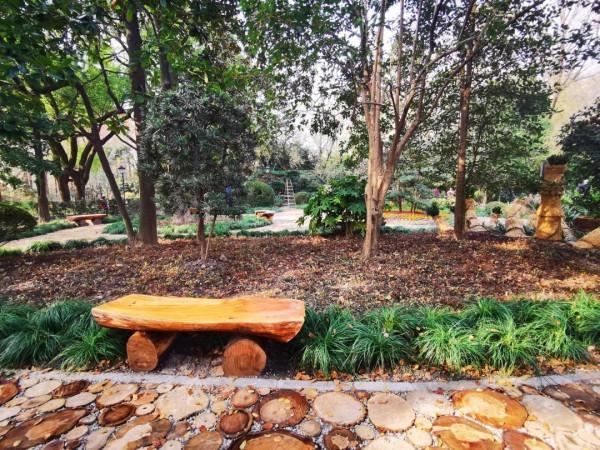 期待!中山公園的新景點“玉蘭芬香”即將亮相 期待!中山公園的新景點“玉蘭芬香”即將亮相