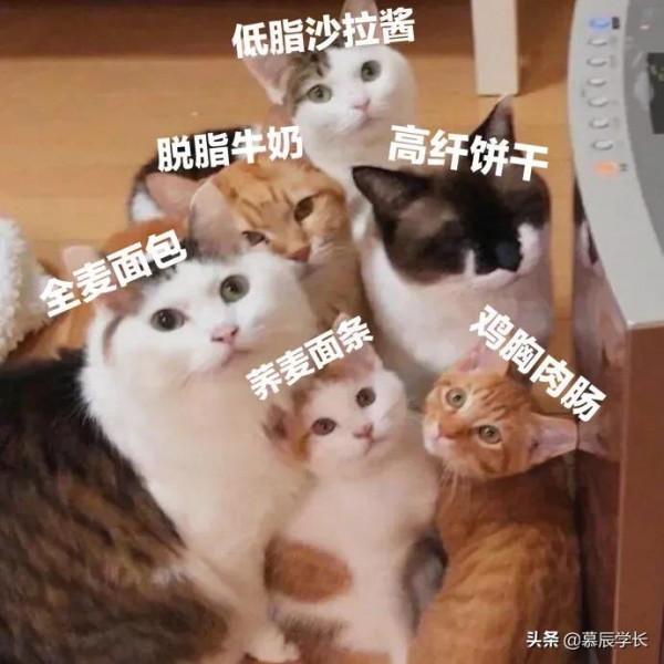 春節特別篇：過年吃大餐，不長肉肉秘籍