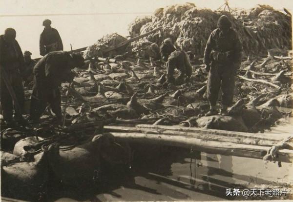 1930年內蒙古包頭老照片 黃河岸邊風貌及五當召 1930年內蒙古包頭老照片 黃河岸邊風貌及五當召