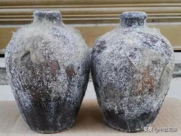 請不要喝這五種白酒