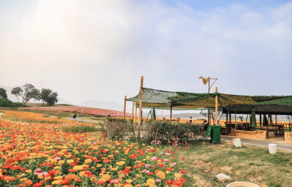 漫步鄉村，慢生活······