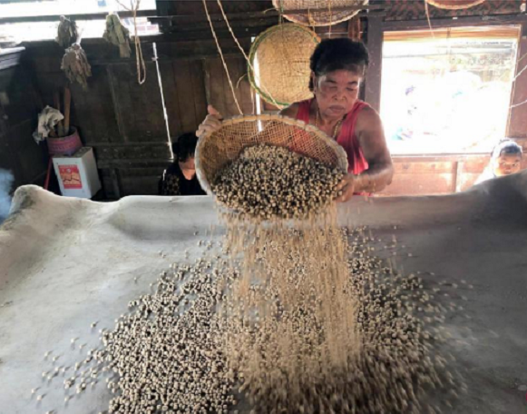 菜菜遊天下：婆羅洲 最古老王朝