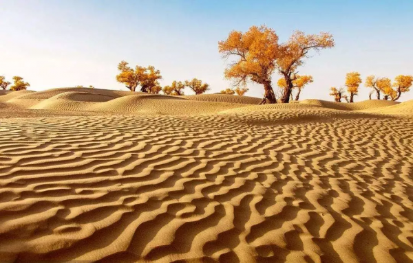 中國古今十之最,長見識了! 中國古今十之最,長見識了!