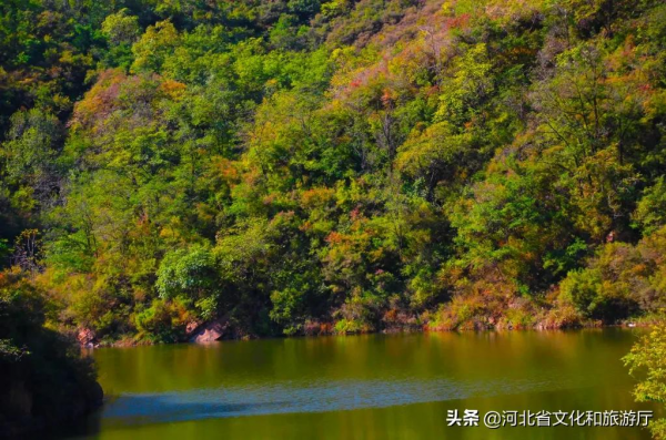 10月11日起，黃金寨免費入園！