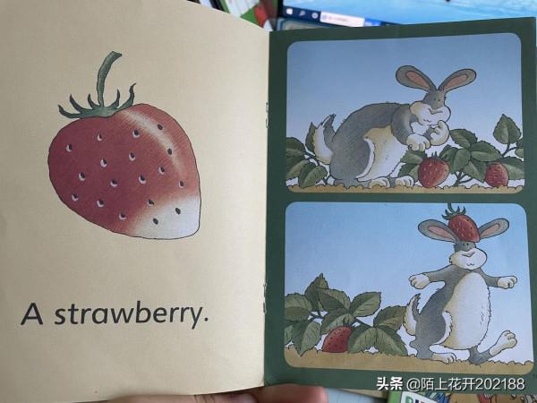 英語啟蒙繪本推薦4：培生幼兒英語基礎詞彙