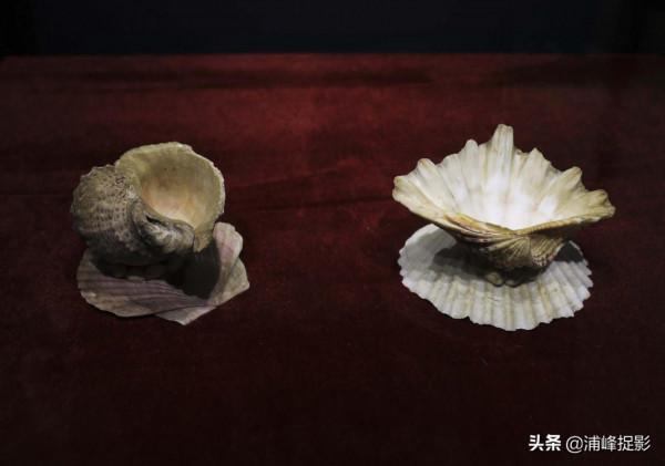 4年耗費5噸鮑魚殼雕出“龍鳳舟”“九龍壁”，萬年硨磲玉化如羊脂