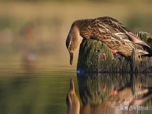 地球上的天堂美景