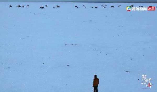 這不叫旅行，這叫玩命！一場說走就走的旅行，說失蹤就失蹤了