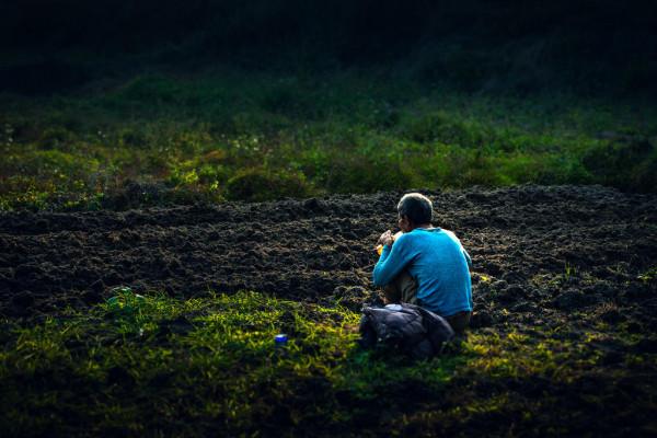 鄉土散文：月光故鄉