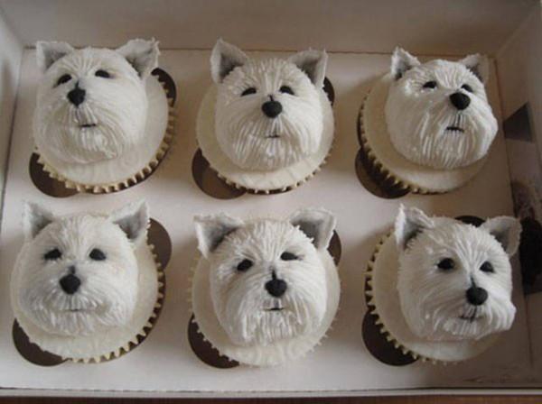 88個難得一見的照片，大象岩石，被章魚攻擊的海豚，飛行員眼鏡