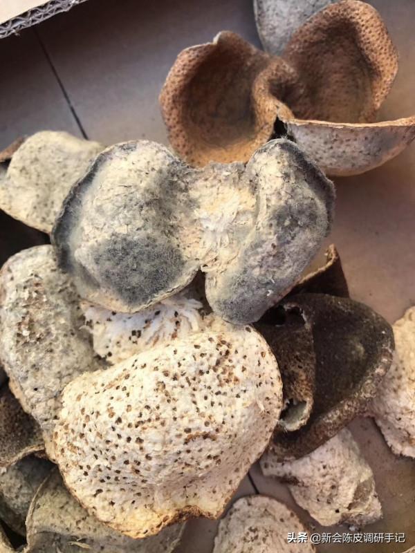 新會陳皮收藏的三個要點：防黴！防黴！以及防黴