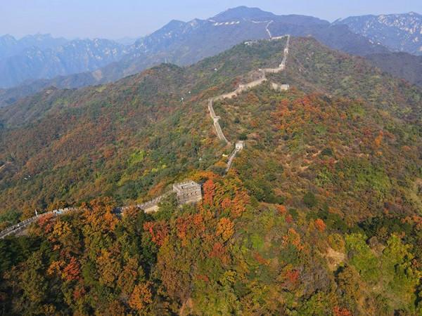 最愛北京，金秋如畫