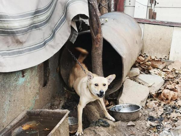 臥虎山頭看房山 臥虎山頭看房山
