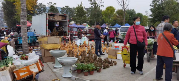 走起！週末跟著文旅頻道趕大集