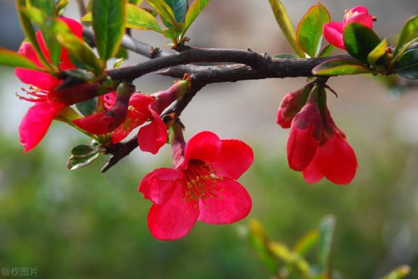 雅稱、代稱、它稱、別稱彙總(二) 雅稱、代稱、它稱、別稱彙總(二)