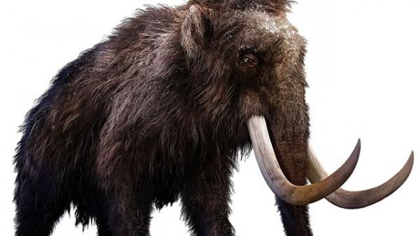 北大專業“六代單傳”,一人請假全院休息,畢業合影只有1名學生 北大專業“六代單傳”,一人請假全院休息,畢業合影只有1名學生