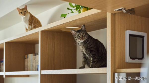 不顧反對,任性將96㎡4室改1室,入住後才知道有多爽 不顧反對,任性將96㎡4室改1室,入住後才知道有多爽