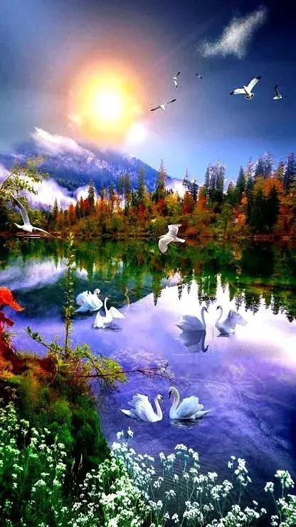 分享圖片&mdash;&mdash;奇美純淨風景集錦