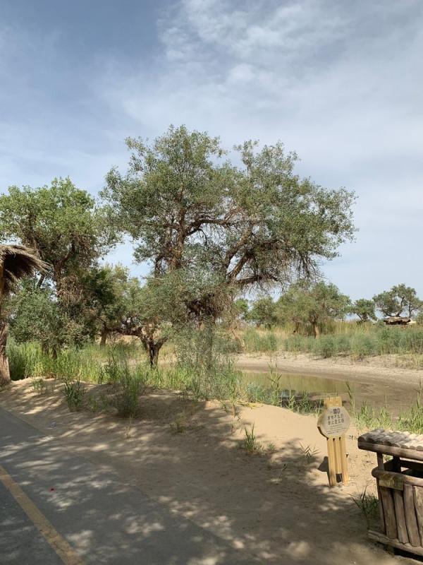 大美新疆（十）羅布人村