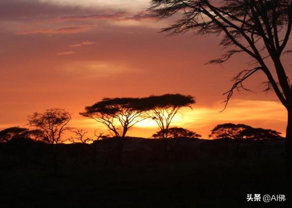 來自世界 50 個地方的壯麗日落