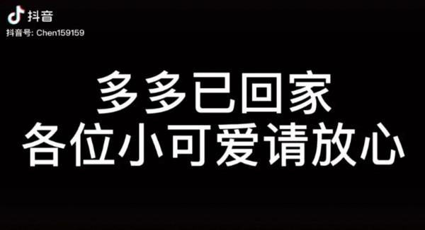 寵物店崩潰日常：太多“多多”了，你是哪家的多多