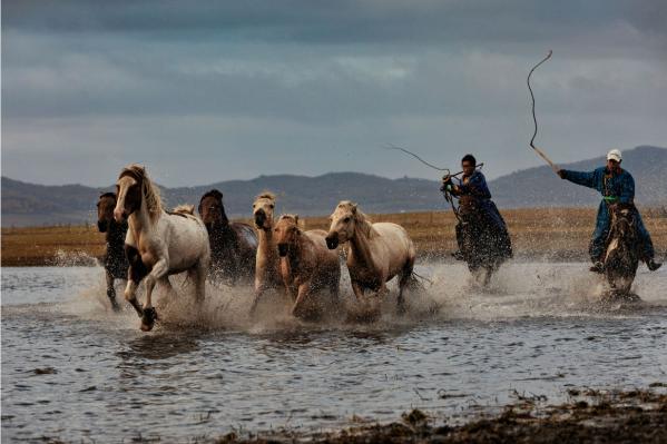 每天凌晨4點起床,只為拍攝烏蘭布統每年僅有15天的絕美秋景 每天凌晨4點起床,只為拍攝烏蘭布統每年僅有15天的絕美秋景