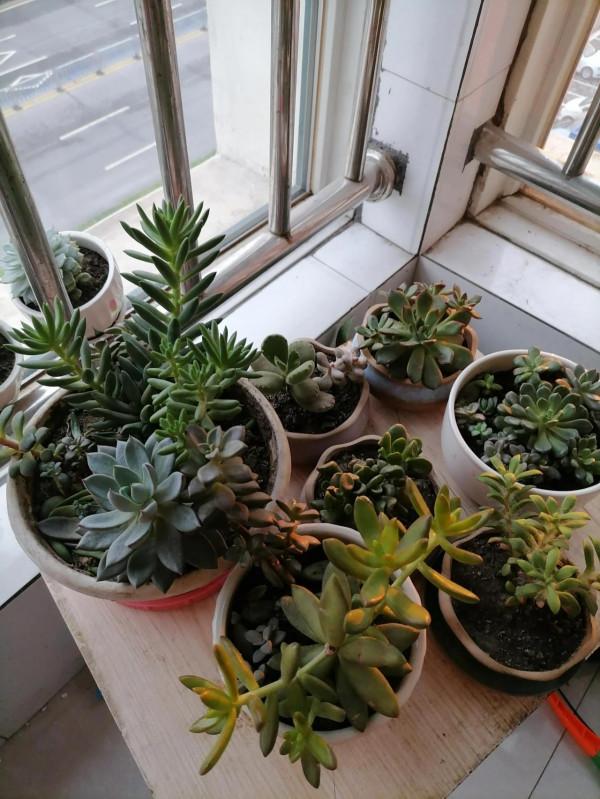 剛買的新房糾結買個全身鏡放哪好