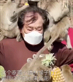 今日科技熱點:終結者成為可能?可以繁殖的活體機器人誕生 今日科技熱點:終結者成為可能?可以繁殖的活體機器人誕生