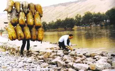 等疫情結束後，我們去撿石頭吧