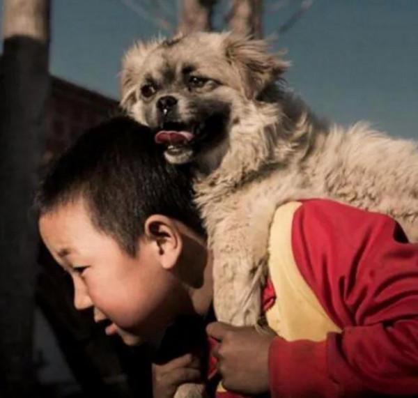 孤兒吃百家飯長大,28年後,他為每戶蓋一棟別墅,以謝養育之恩 孤兒吃百家飯長大,28年後,他為每戶蓋一棟別墅,以謝養育之恩