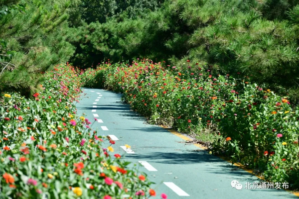 再現大運河北首盛景！副中心實施了這些大工程！附重要規劃