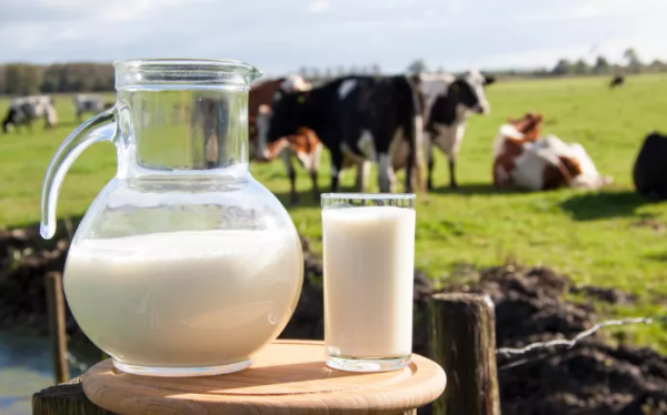 4種食物專跟骨頭搶鈣，越吃骨越脆！真正的&OpenCurlyDoubleQuote;補鈣果&rdquo;&OpenCurlyDoubleQuote;補鈣菜&rdquo;