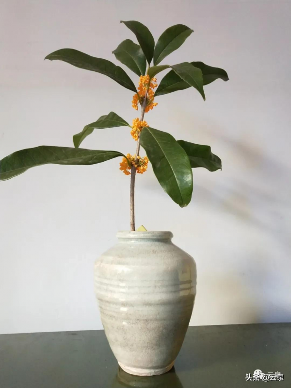 古代縣長是如何上任的？兼說方鳳鳴赴任、邵秉經晉見、唐壬森回家